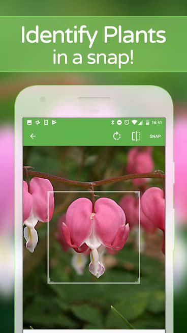 plantsnap gratis